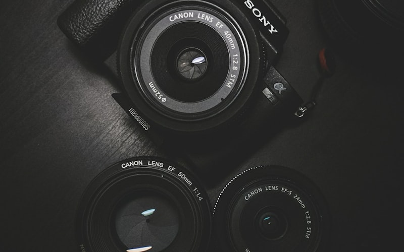 EVO真人全景沉浸VR直播大厅 - 多视角虚拟现实社交环境